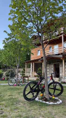 Bujtina Dini in Rubik