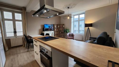 Les Appartements De Louis Spacieux-centre Ville-mairie - Limoges