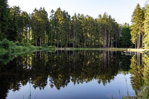 Skats, Maringotka Lesní Mlýn (Maringotka Lesni Mlyn) in Lesova