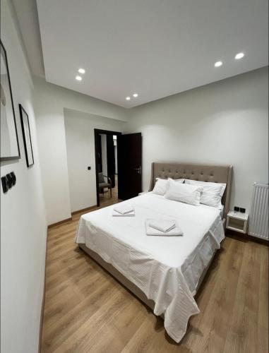 Nazar Apartment- in the center of Athens, Athens