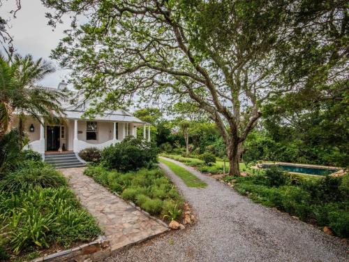 Mimosa, Grahamstown