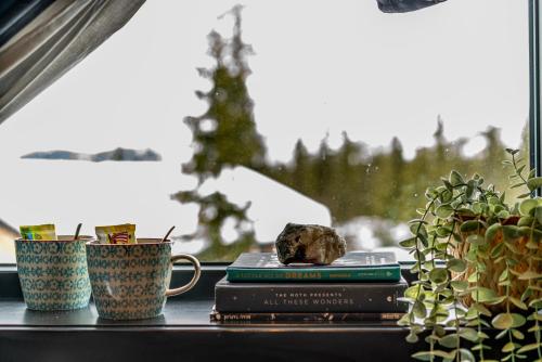 المنطقة المحيطة, Private Room in Beautiful Mountain Home w/ Sauna in بيتوستولين