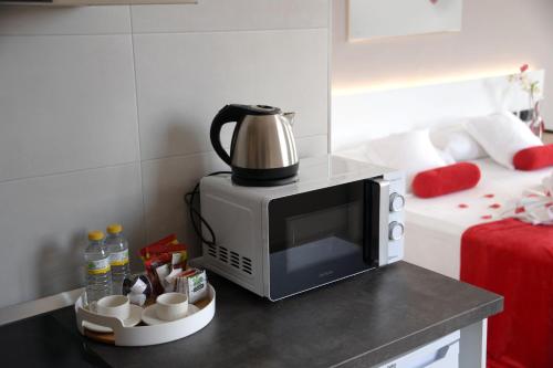 Hotel Spa Mirador Room Type - Studio Apartment