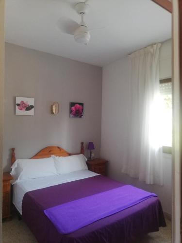 1 twin bed