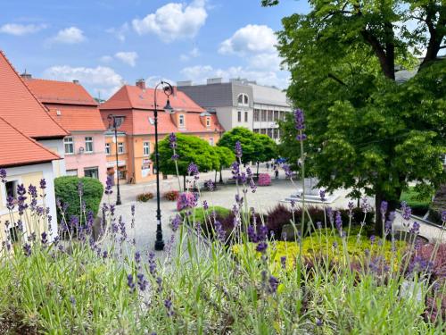 Apartament Lawendowy