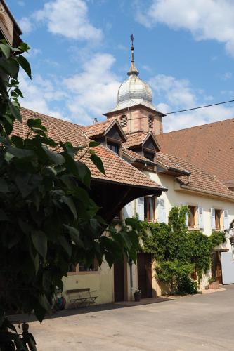 L'Hortensia blanc - Location saisonnière - Bergholtz