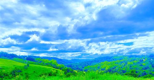 Tiny House • Spectacular Hinterland Views • Cosy