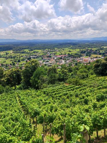 Zidanica-Vineyard Cottage Jakše