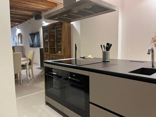 кухня, Luxury Apartment Stancesvic LOFT (New) in Вік