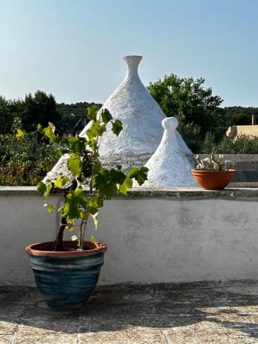 trullo Giardino Sotto La Luna