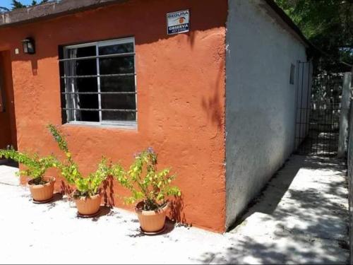 Las Madres Selvas in 拉斯托斯卡斯