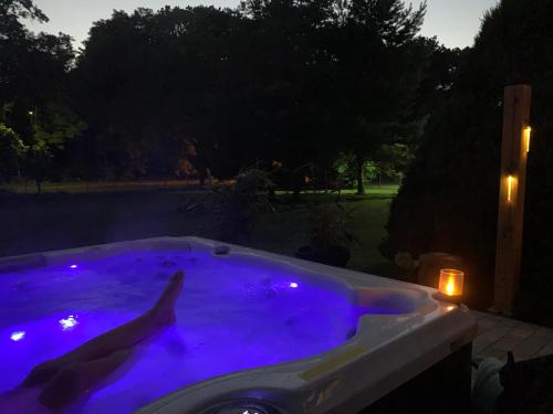 Apartamenty Moszna - blisko Zamku, Jacuzzi, widok na las