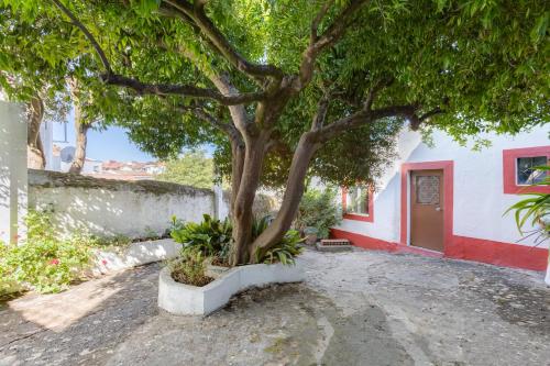  DOROTHEA HOUSE by Stay in Alentejo in Cercal