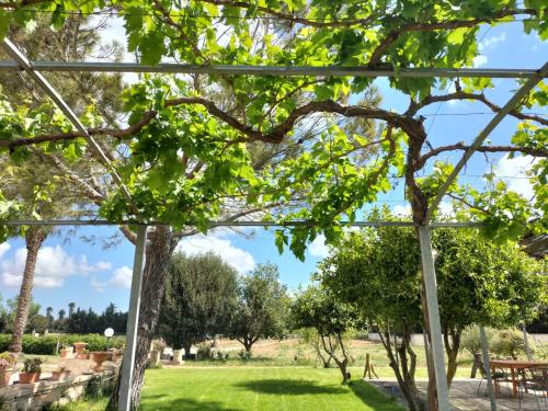  Villa Minioti Apartment A in Arnesano