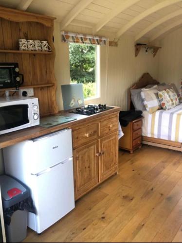Charming tranquil Shepherds Hut with lakeside balcony 'Roach' in Uckfield