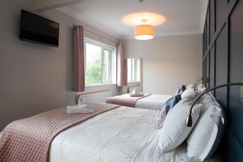 Adare Guesthouse - image 6