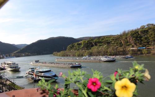 Rheinhotel Lilie 5