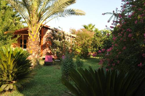 Anatolia Resort - image 5