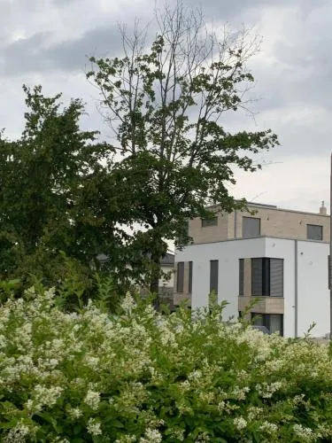 Mosaikhaus Smart Home in Würselen, Deutschland
