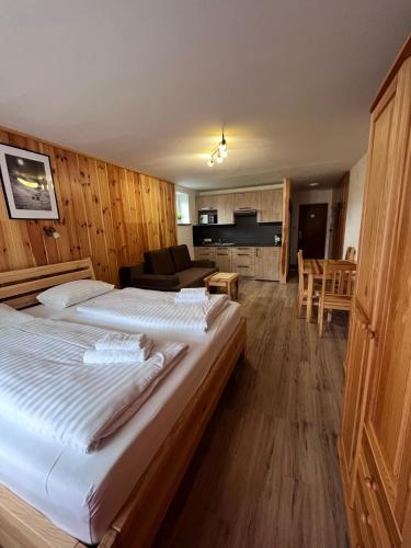 Kaprun Mountain Studio with Summer CARD- Central Location, Kaprun