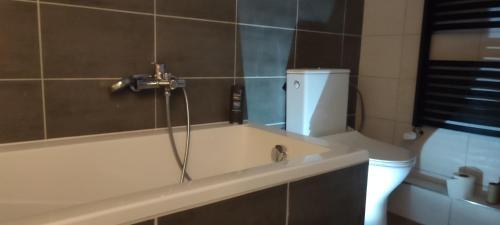 Apartman Radim in Vratimov