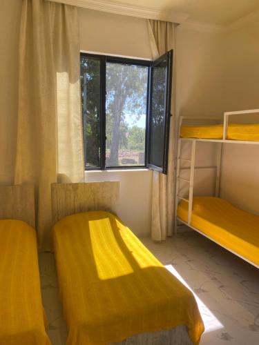 1 double bed, 1 twin bed