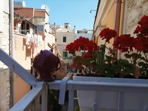 Vistas, MaGia b&b Corato in Corato