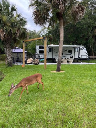 Lake front RV experience close to port Canaveral and Kennedy space center