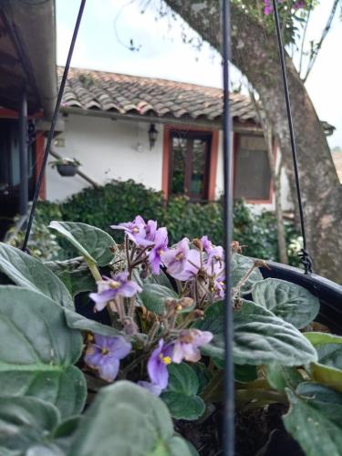 Hotel Boutique Casabella in Coatepec, Mexico