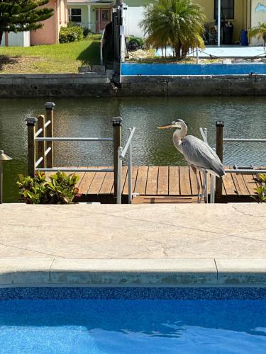 Sunny Waterfront Oasis! Prívate Pool, Hot Tub and Dock