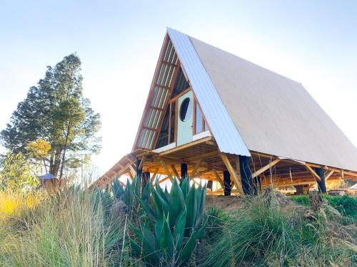 . Finca Doña Domi: Glamping con Amor
