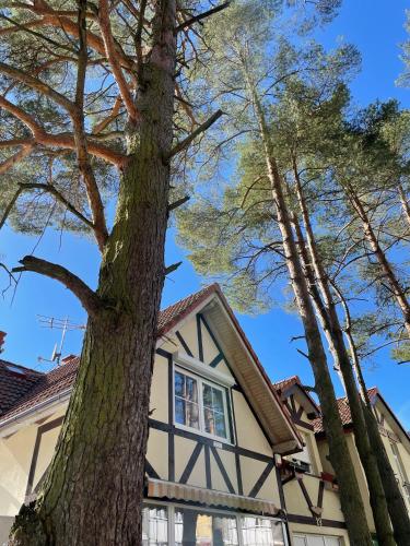 Morski Sen