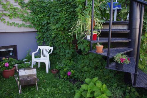 Oasis Apartments - image 11