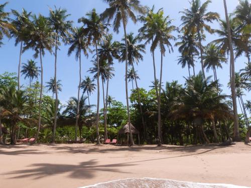 Ankobra Beach Resort