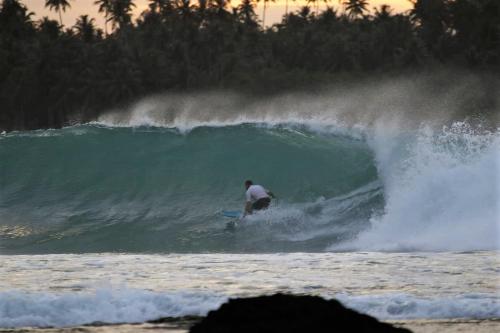 Nias Shady Palm surfcamp