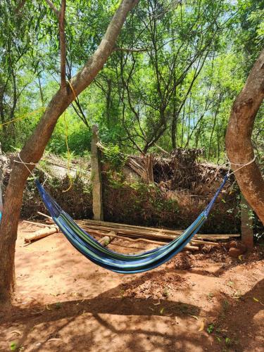 Nebula Nest Cafe & Hostel in Pondicherry