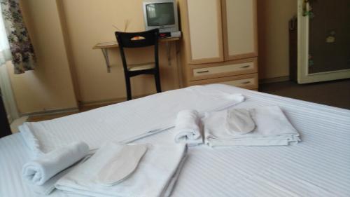 ATICI HOTEL, Antalya (fotografie 5)