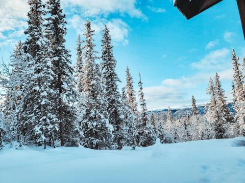 Peaceful Oasis. Panoramic forest- & mountain view. Sauna.