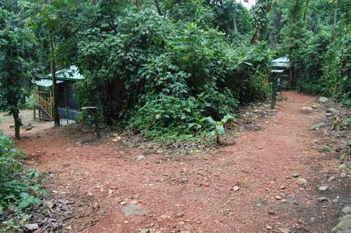 Dārzs, Snow Heights Lodges in Kasese