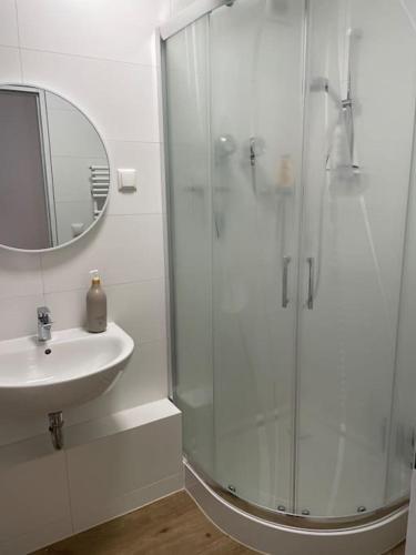 Ferienwohnung mit 2 Zimmer im Belgischen Viertel, Cologne (photo 4)