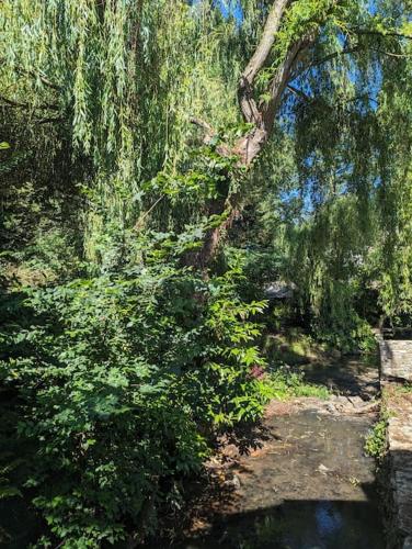 Maison neuve en pleine nature- A 5mn de la mer