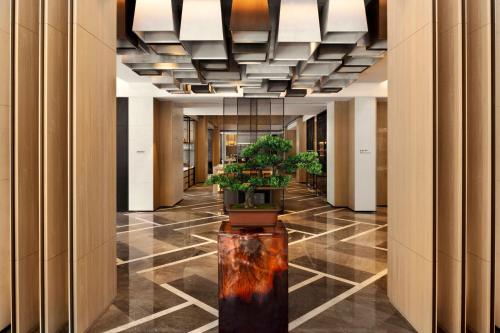 ล็อบบี้, Delta Hotels Xi'an in เป่ยกวน