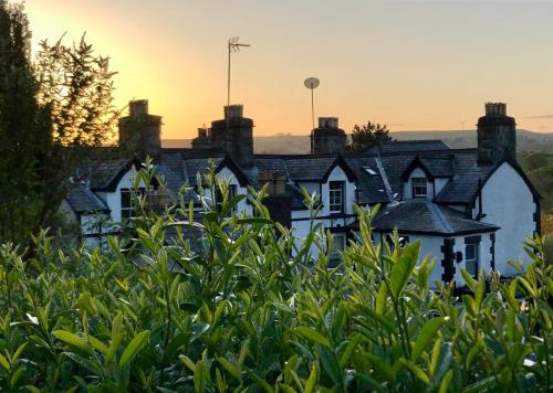 Bron-Y-Graig 5