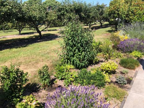  Buitenplaats Schouwen in Burgh-Haamstede