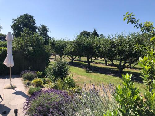  Buitenplaats Schouwen in Burgh-Haamstede