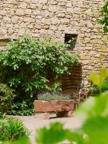 Urige Schlaffässer im Winzergarten inklusive Weinprobe