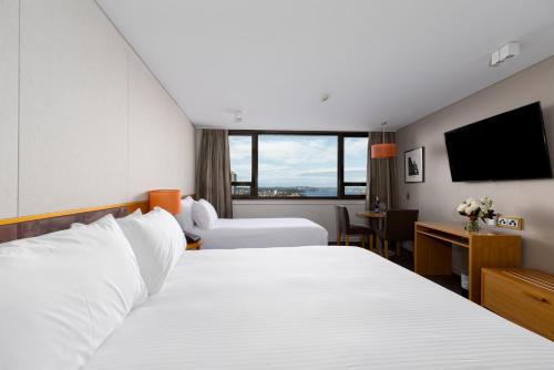 View Sydney (formerly North Sydney Harbourview) - image 5