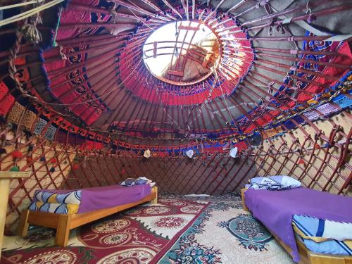 Hostel Nice, Karakol (Foto 9)