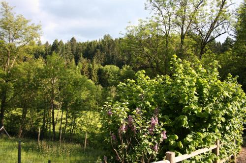 Auberge Saint Vincent photo 16