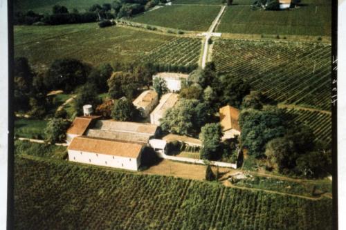 L Oustal maison vigneronne - Accommodation - Villeneuve-lès-Béziers